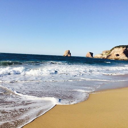 Luxury Apartment With Sea View In Hendaye Ngoại thất bức ảnh